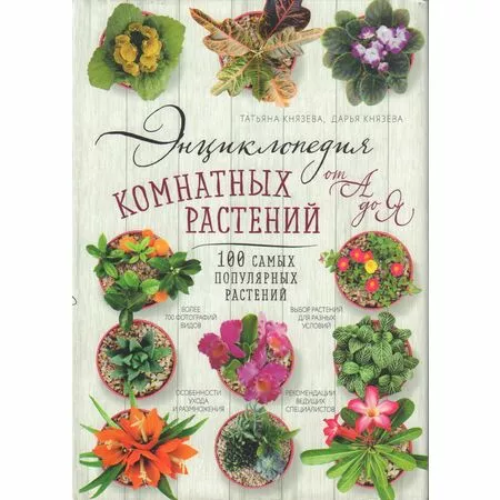 Энциклопедия комнатных растений от А до Я. 100 самых популярных растений 
