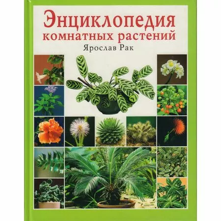 Энциклопедия комнатных растений Ярослав Рак