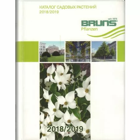 Каталог садовых растений 2018/2019 BRUNS Pflanzen